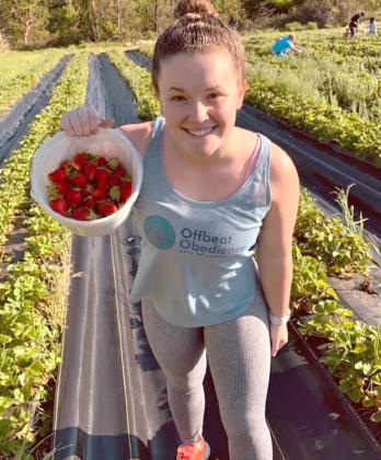 Morgan Sloan picks strawberries while customers pick their own in the background, at Buffalo Creek Berry Farm, 9211 Sloan Road in Mustang. The P-Y-O berry-produce farm plans to open to the public late this month. Photo / Provided.