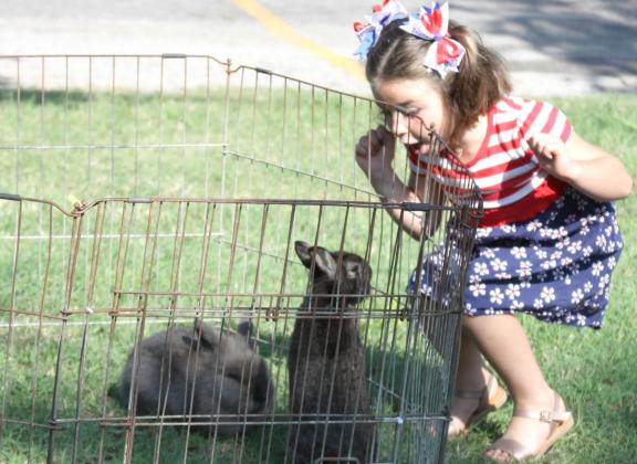Eden Baughman exclaims over a pair of rabbits at Freedom Fest over the July Fourth holiday. Photo / Michael Pineda